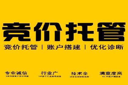 SEM竞价代运营公司实战案例分析